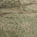 DSC_8447.jpg